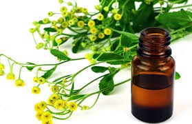 تصویر 1 از خرید و فروش اسانس شاه‌ اسپرم | قیمت عمده ارزان + خواص درمانی